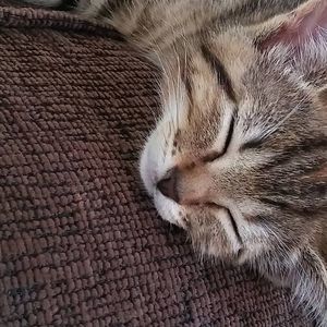 Meet your Posher, Kathy